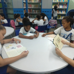 Bibliotecas SEDU